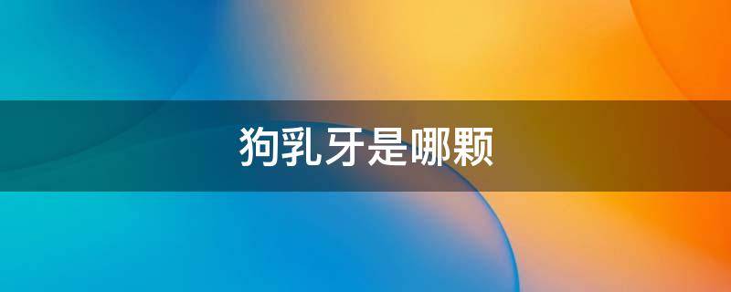 狗乳牙是哪颗（小狗乳门齿是什么）