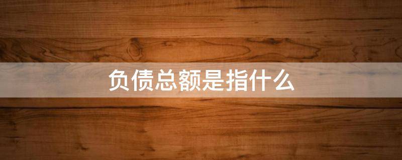负债总额是指什么 负债总额是指什么通俗讲