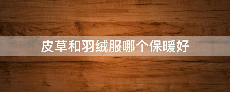 皮草和羽绒服哪个保暖好 皮草跟羽绒服哪个好