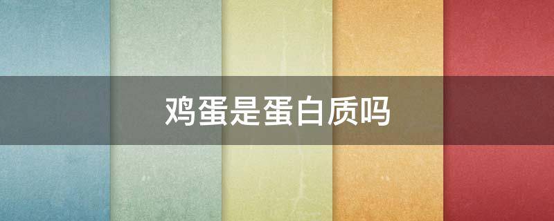 鸡蛋是蛋白质吗（牛奶鸡蛋是蛋白质吗）