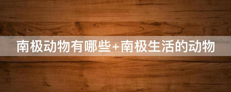 南极动物有哪些（南极动物有哪些动物）