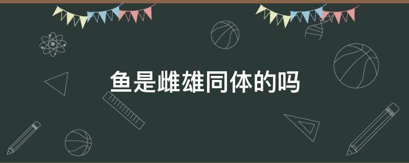 鱼是雌雄同体的吗（哪种鱼是雌雄同体）