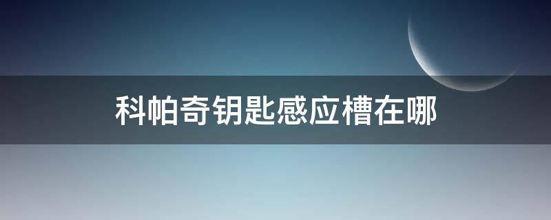 科帕奇钥匙感应槽在哪（科帕奇的钥匙感应区）