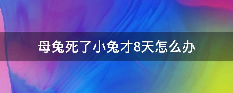 母兔死了小兔才8天怎么办 出生7天小兔母兔死亡能活吗