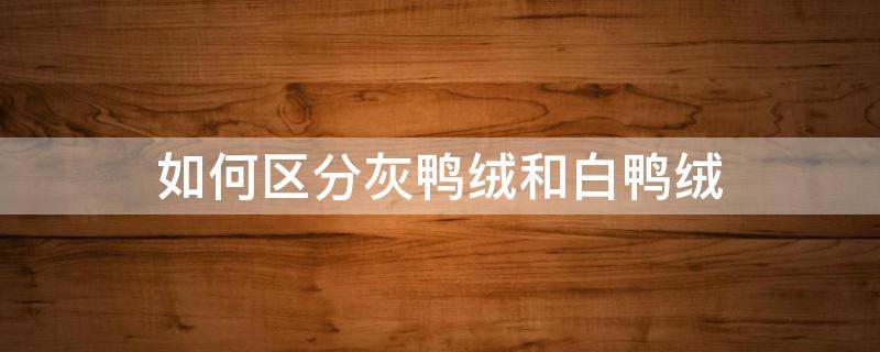 如何区分灰鸭绒和白鸭绒（灰鸭绒白鸭绒区别）