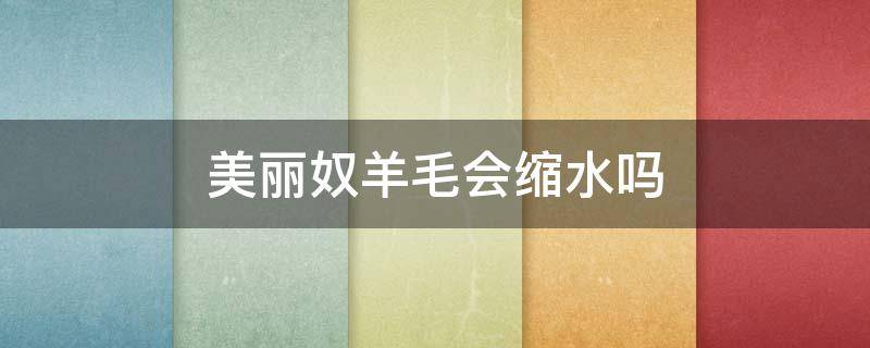美丽奴羊毛会缩水吗（美利奴羊毛贵吗）