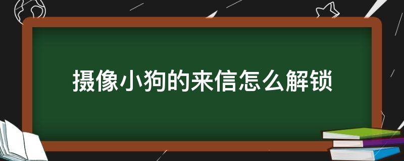 摄像小狗的来信怎么解锁 摄像小狗的来信怎么解锁2021