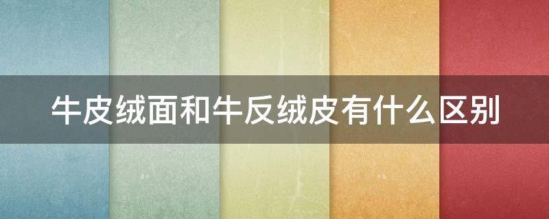 牛皮绒面和牛反绒皮有什么区别 牛皮绒面和牛反绒皮有什么区别呢