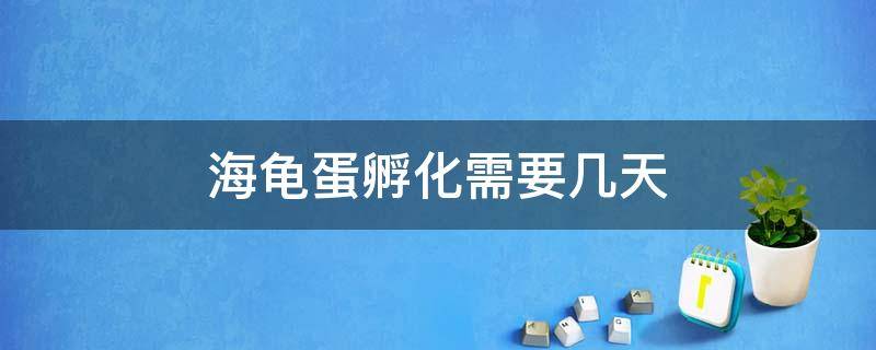 海龟蛋孵化需要几天 海龟蛋孵化多少天