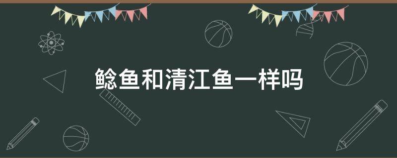 鲶鱼和清江鱼一样吗（鲶鱼和清江鱼一样吗?）