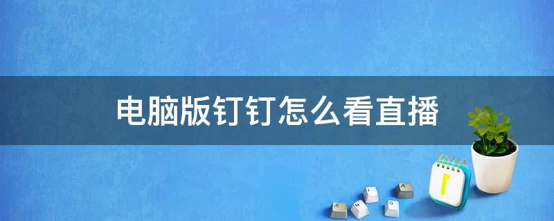 电脑版钉钉怎么看直播 电脑版钉钉怎么看直播上课