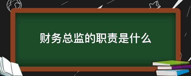 财务总监的职责是什么 银行财务总监的职责是什么