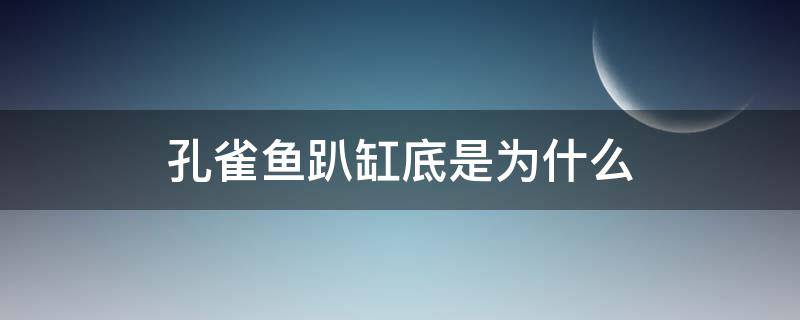 孔雀鱼趴缸底是为什么 孔雀鱼老是趴在缸底是什么原因