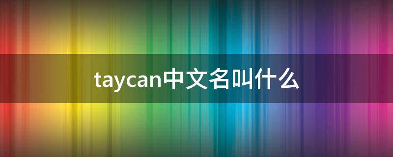 taycan中文名叫什么（taycan中文名叫什么价格）