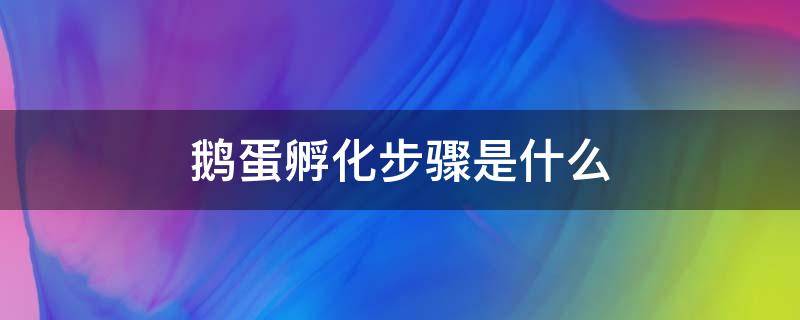 鹅蛋孵化步骤是什么（鹅蛋的孵化过程详解）