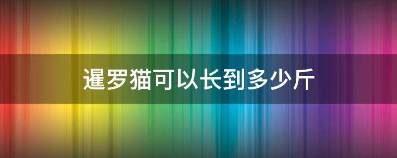 暹罗猫可以长到多少斤 暹罗公猫能长到几斤
