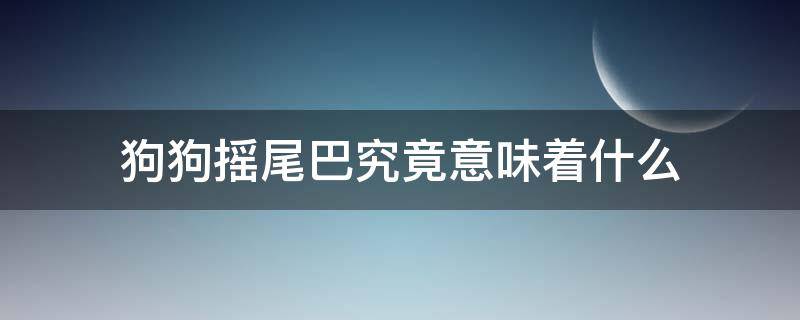 狗狗摇尾巴究竟意味着什么 狗狗摇尾巴的含义