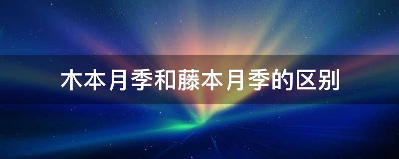 木本月季和藤本月季的区别（藤本月季是木本还是草本）