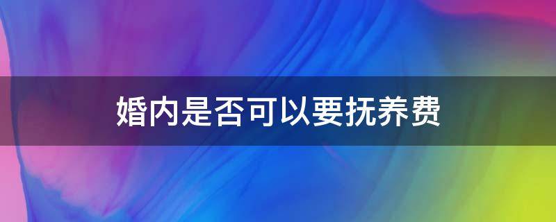 婚内是否可以要抚养费（婚内可以要求对方支付抚养费吗）