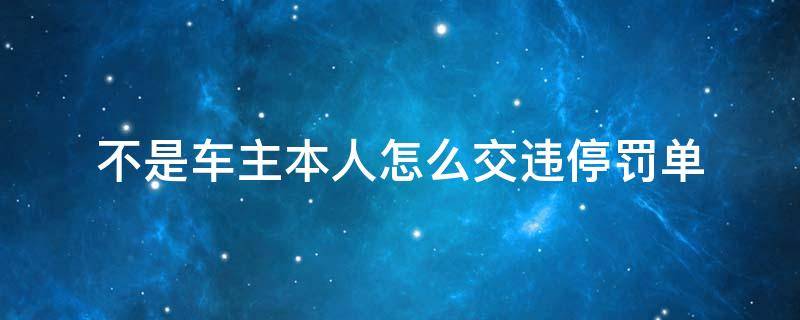 不是车主本人怎么交违停罚单（不是车主本人怎么交违停罚单网上）