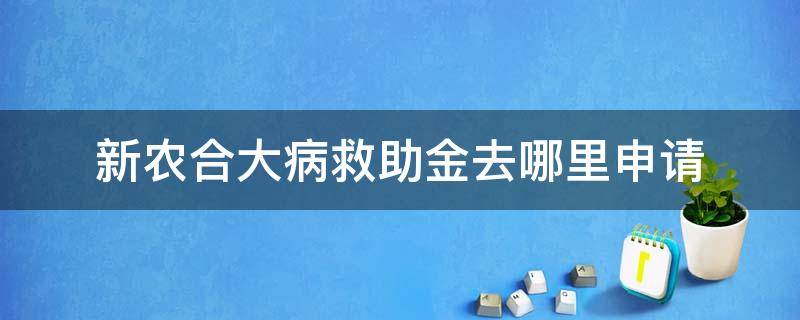 新农合大病救助金去哪里申请 新农合大病救助金去哪里申请多少钱