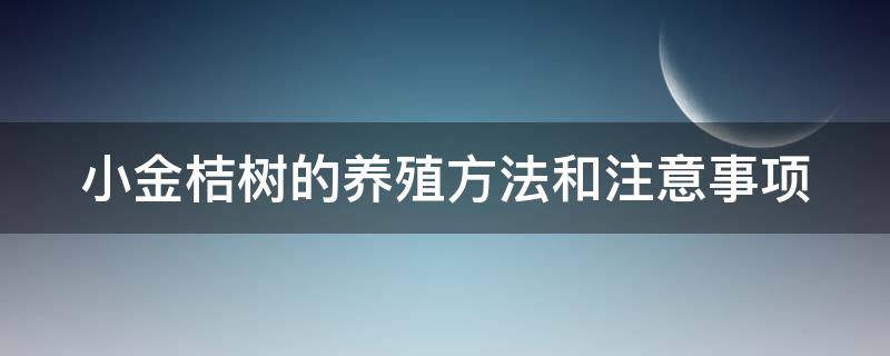 小金桔树的养殖方法和注意事项 金桔树是吉树还是凶树