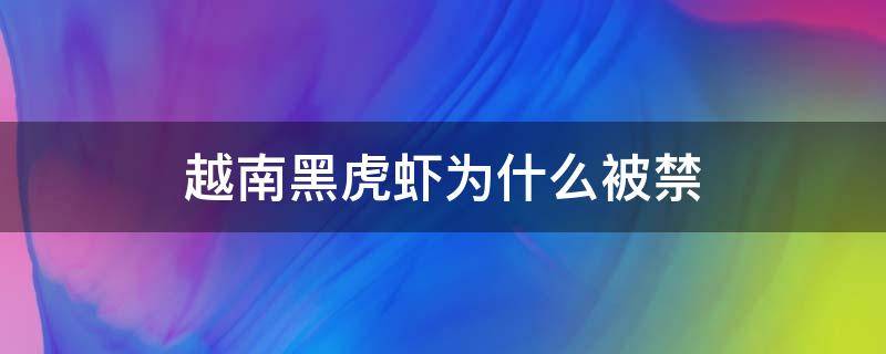 越南黑虎虾为什么被禁 越南黑虎虾可以生吃吗