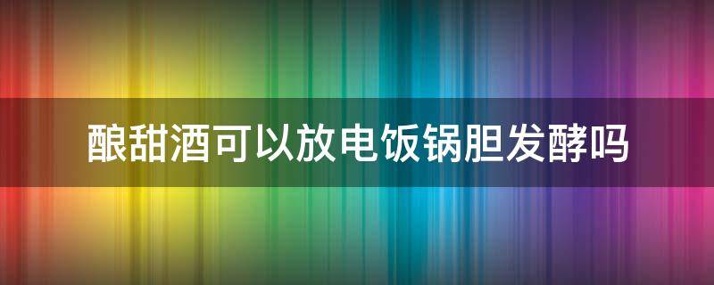 酿甜酒可以放电饭锅胆发酵吗（甜酒酿可以用电饭锅煮吗）