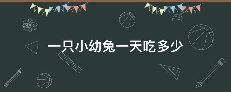 一只小幼兔一天吃多少 幼兔一般一餐吃多少