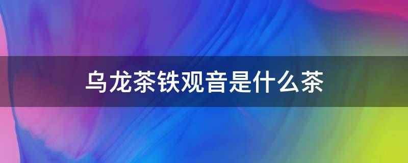 乌龙茶铁观音是什么茶 乌龙茶叫铁观音吗