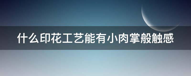 什么印花工艺能有小肉掌般触感（印花手感）