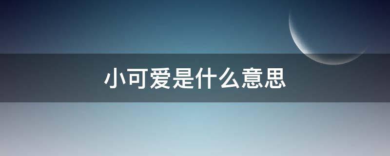 小可爱是什么意思 网络小可爱是什么意思