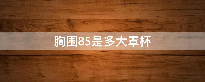 胸围85是多大罩杯 上胸围88下胸围85是多大罩杯