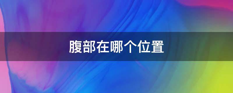 腹部在哪个位置 输卵管壶腹部在哪个位置