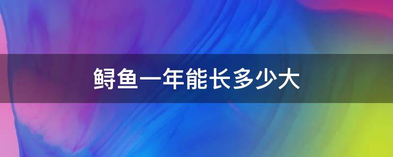 鲟鱼一年能长多少大 鲟鱼一年可以长多大