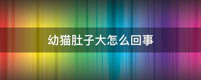 幼猫肚子大怎么回事 幼猫肚子越来越大怎么办