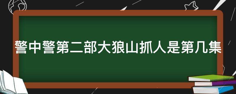 警中警第二部大狼山抓人是第几集 警中警2查处大狼山第几集