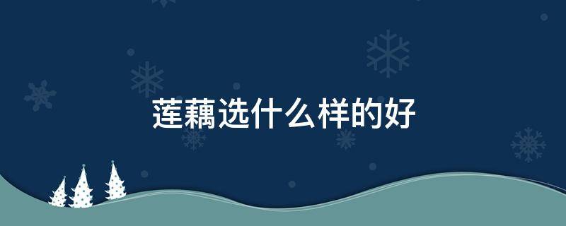 莲藕选什么样的好 什么样的莲藕比较好