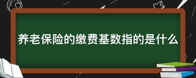 养老保险的缴费基数指的是什么 养老保险缴费基数指的是什么,是工资吗