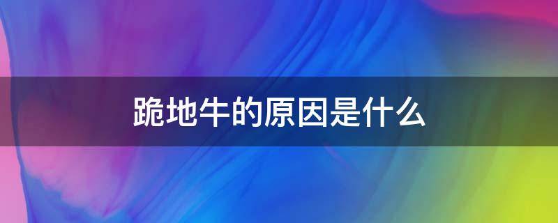 跪地牛的原因是什么 跪地牛是怎么回事