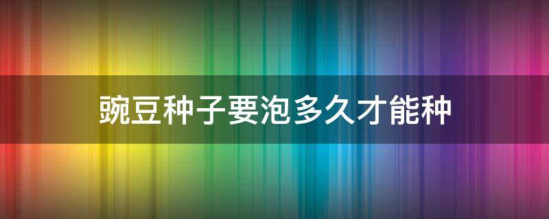 豌豆种子要泡多久才能种 豌豆种子多久发芽