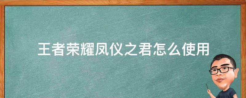 王者荣耀凤仪之君怎么使用 王者荣耀凤仪之诏和凤仪之君有什么区别