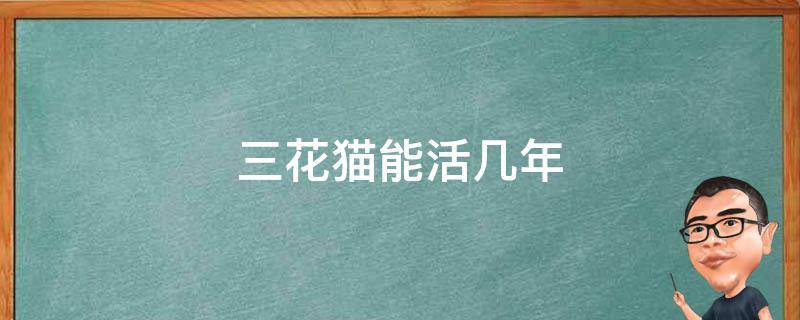三花猫能活几年 三花猫可以活到几岁