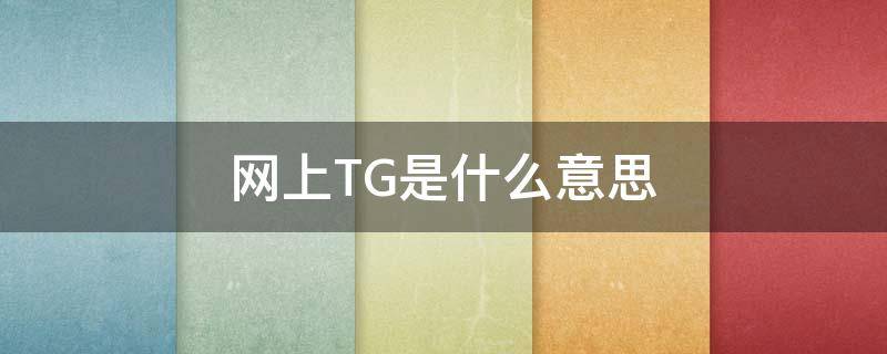 网上TG是什么意思（网上TG什么意思）