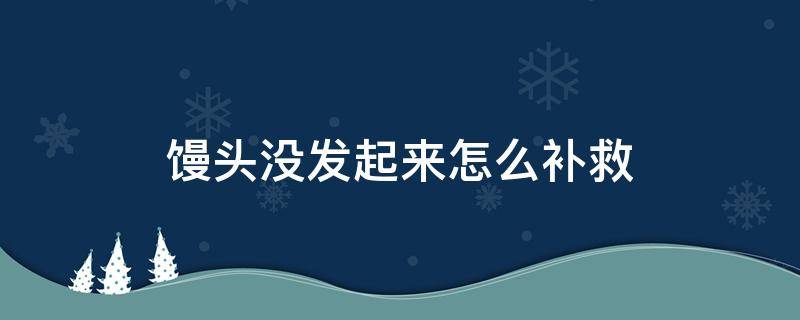 馒头没发起来怎么补救 馒头没发起来怎么补救怎样还能吃