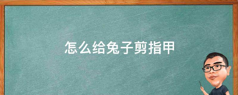 怎么给兔子剪指甲（怎么给兔子剪指甲老是跑）