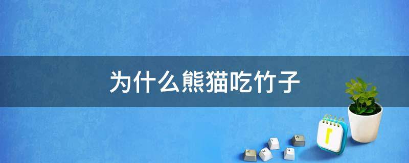 为什么熊猫吃竹子 为什么熊猫吃竹子不吃肉