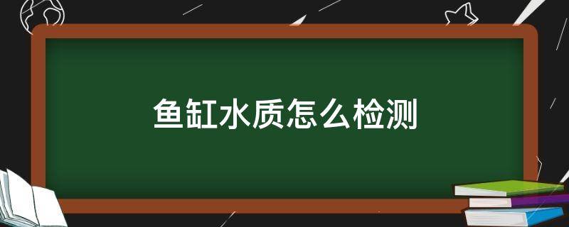 鱼缸水质怎么检测 鱼缸水质如何检测