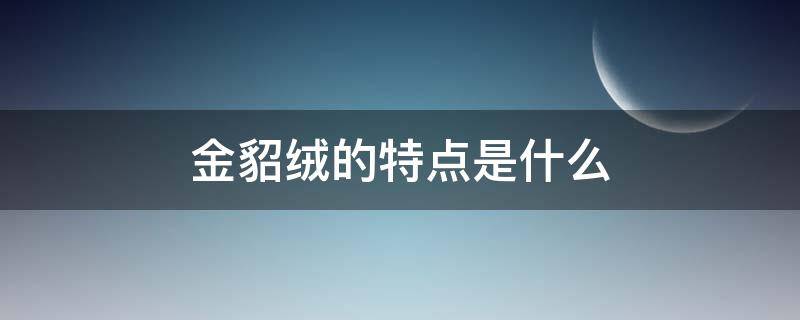 金貂绒的特点是什么（金貂绒的优点）