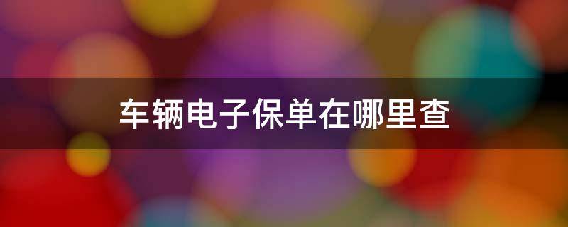 车辆电子保单在哪里查 汽车电子保单哪里查